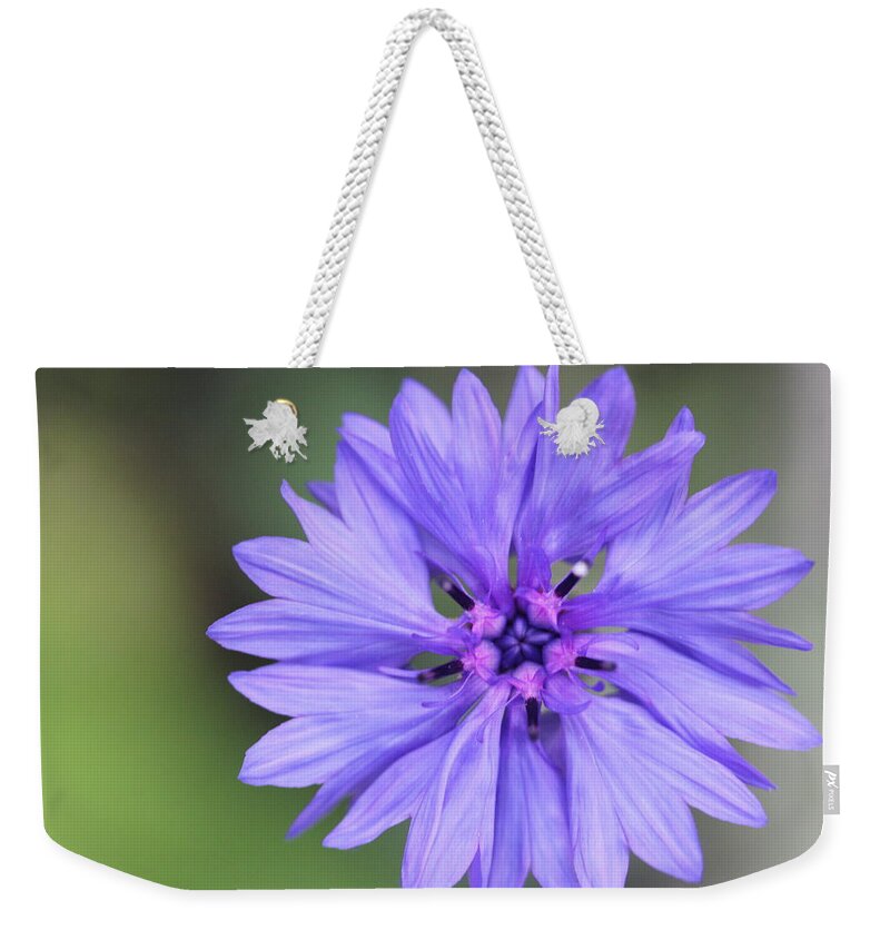 Blue Flower Weekender Tote Bag featuring the painting Blue Button by Ruth Kamenev