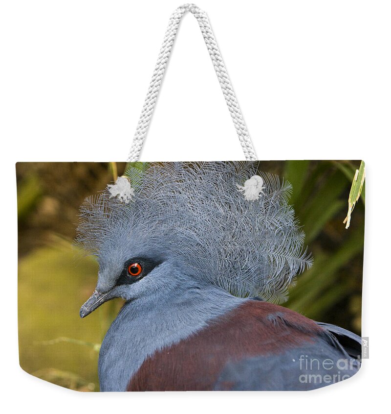 Pigeon Weekender Tote Bag featuring the photograph Blue-Crowned Pigeon by David Millenheft