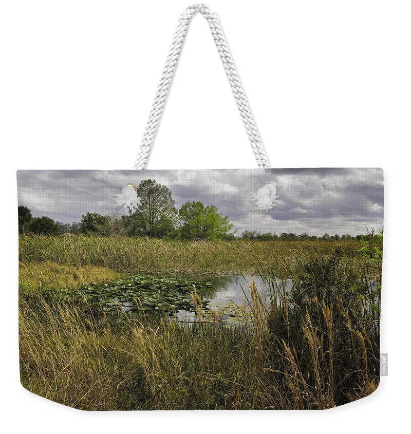 Blue Cypress Swamp Weekender Tote Bag featuring the photograph Blue Cypress Wetlands by Fran Gallogly