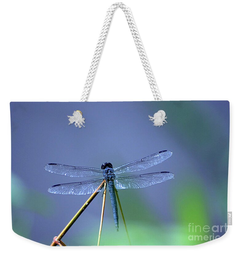 Dragon Fly Weekender Tote Bag featuring the photograph Blue Dragon by Living Color Photography Lorraine Lynch