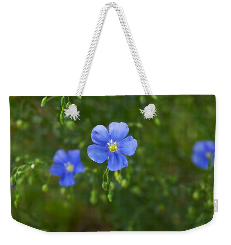 Blue Weekender Tote Bag featuring the photograph Blue Flax by Mary Lee Dereske