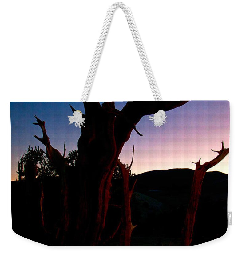 Tree Sky Clear Sunset Scenic Landscape Nature eastern Sierra Mountains Ancient Forest California Twilight Blue Pink Night Weekender Tote Bag featuring the photograph Blue Hour Bristlecone by Cat Connor