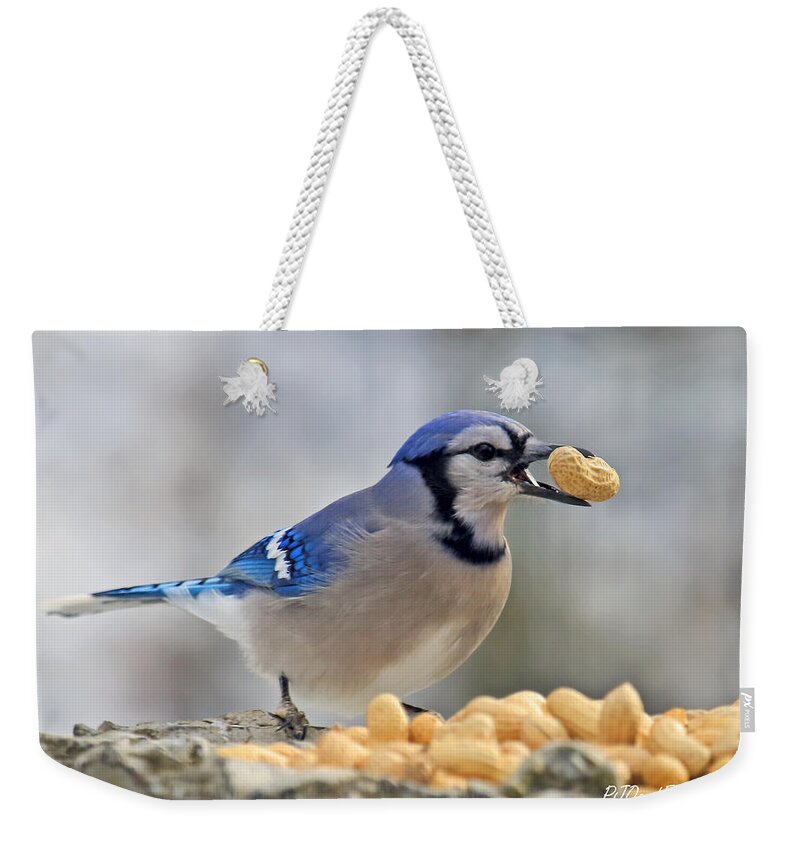 Blue Jay And Peanut Weekender Tote Bag featuring the photograph Blue Jay and Peanut by PJQandFriends Photography