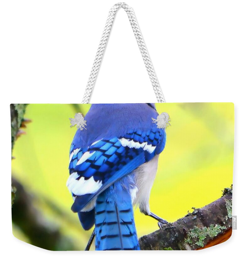 Bird Weekender Tote Bag featuring the photograph Blue Jay by Deena Stoddard