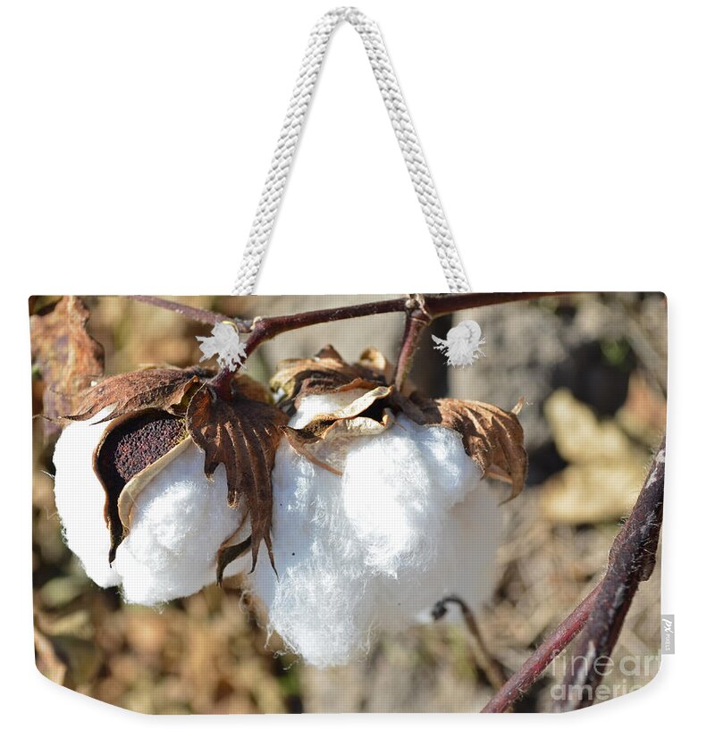 Nature Weekender Tote Bag featuring the photograph Blue Jeans and Tees by Debbie Portwood