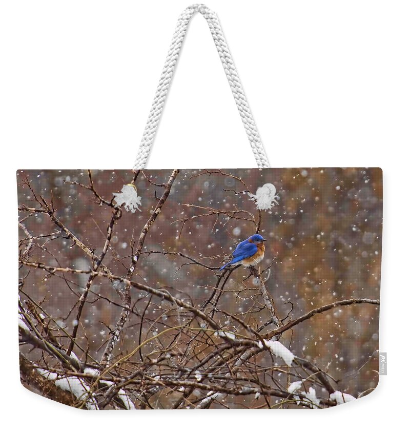 Blue Norther Weekender Tote Bag featuring the photograph Blue Norther by Gary Holmes