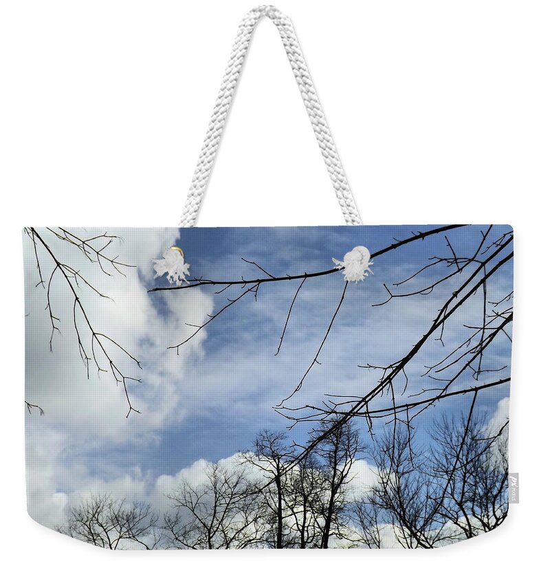 Winter Weekender Tote Bag featuring the photograph Blue Skies of Winter by Robyn King