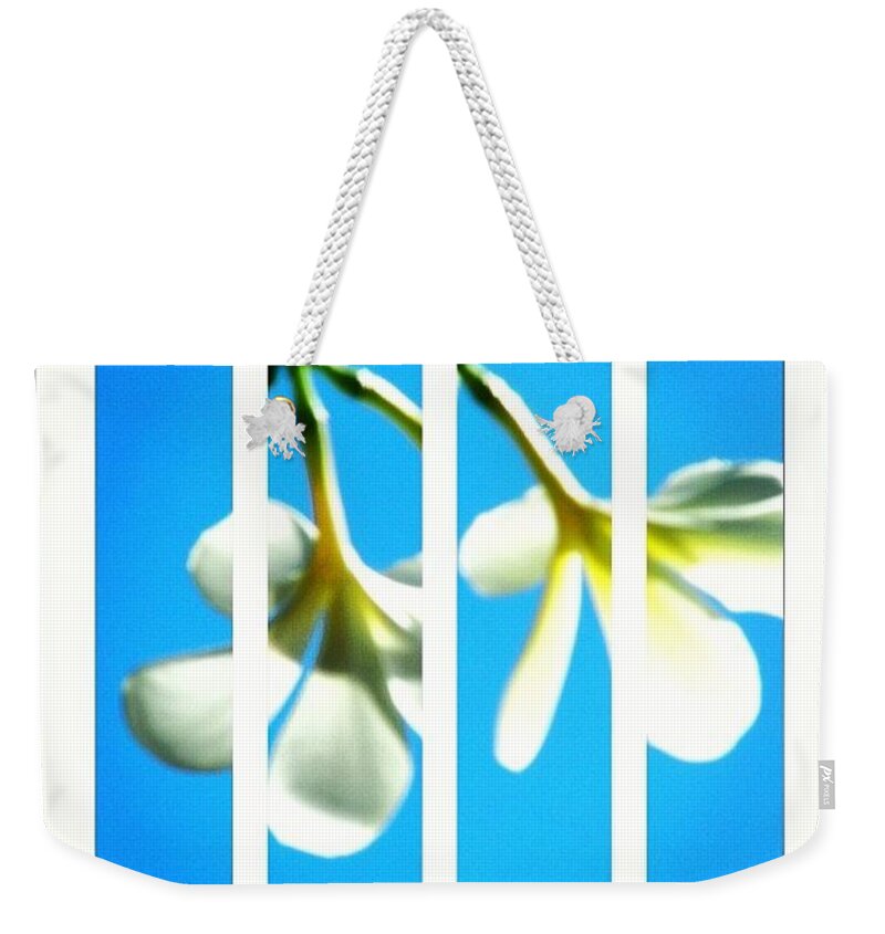  Weekender Tote Bag featuring the photograph Blue Sky & Frangipani by Lorelle Phoenix