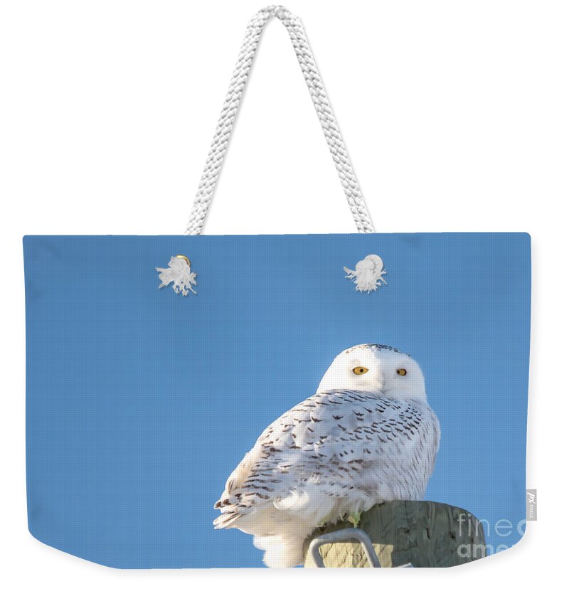 Field Weekender Tote Bag featuring the photograph Blue Sky Snowy by Cheryl Baxter