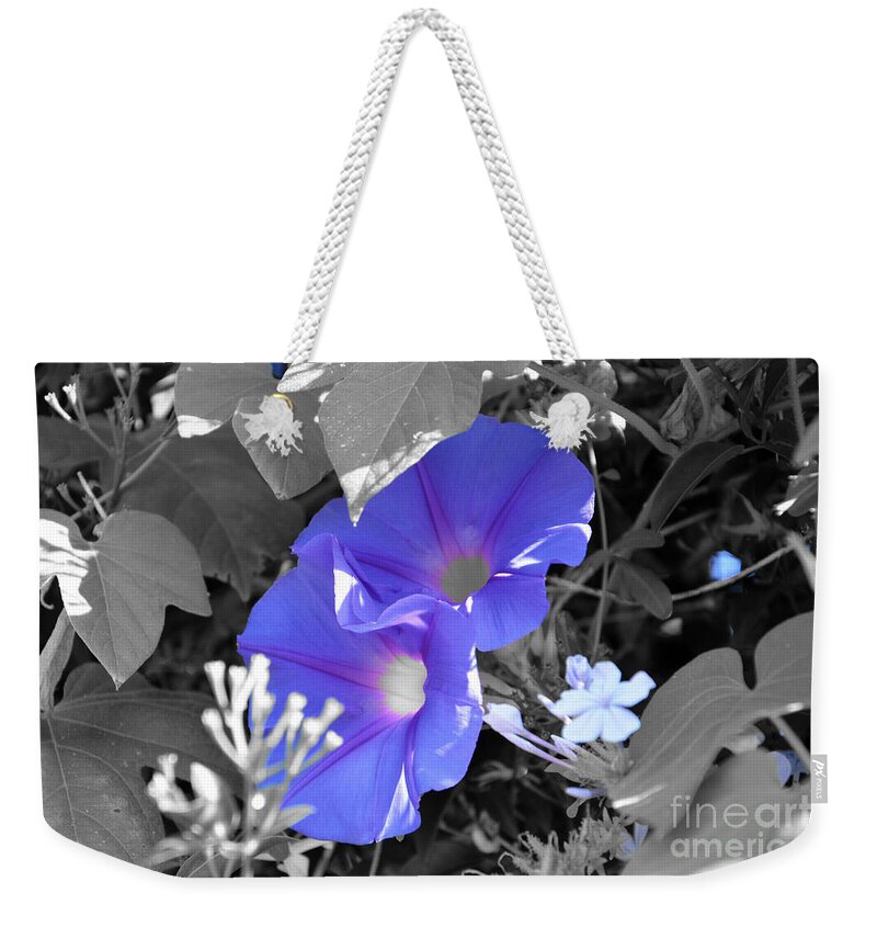 Morning Glory Weekender Tote Bag featuring the photograph Blue Twins by Ramona Matei