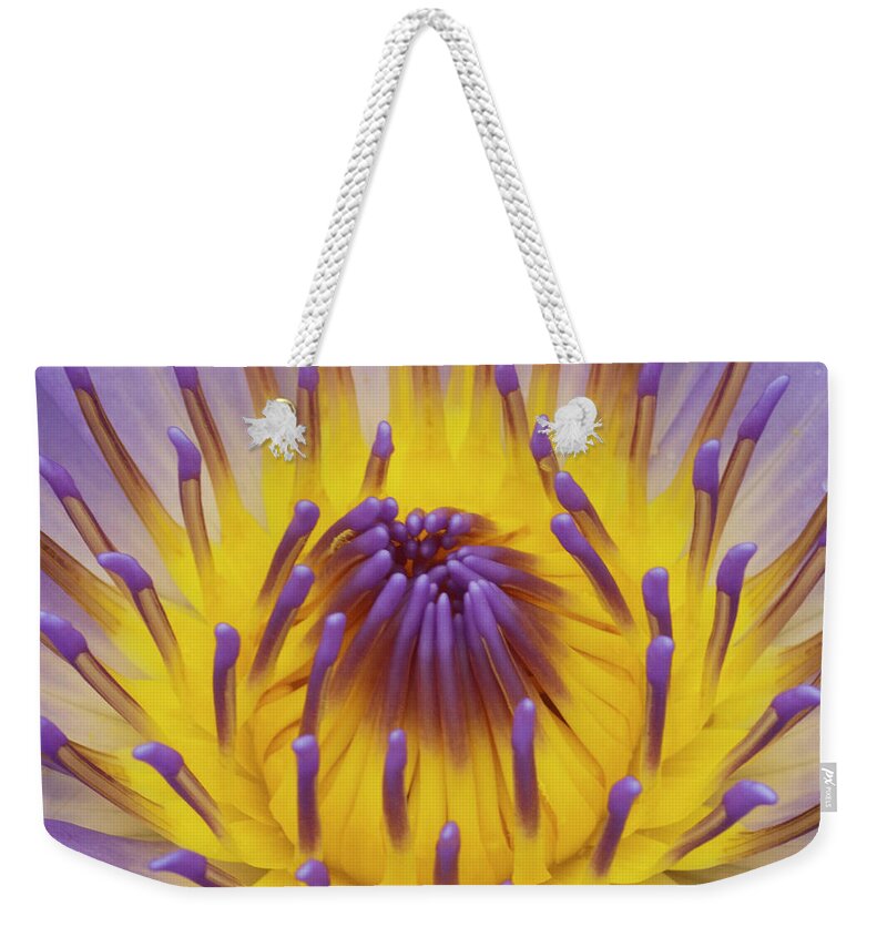 Water Lily Weekender Tote Bag featuring the photograph Blue Water Lily by Heiko Koehrer-Wagner
