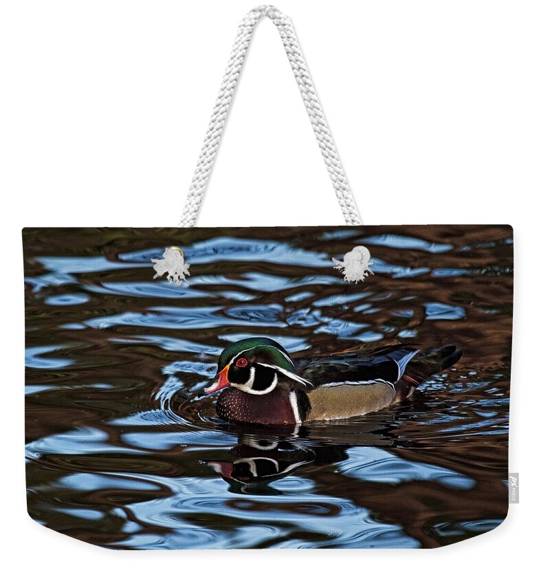 Blue Waters Duck Weekender Tote Bag featuring the photograph Blue Waters Duck by Wes and Dotty Weber