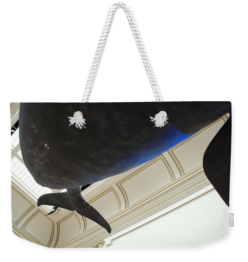 Blue Whale Weekender Tote Bag featuring the photograph Blue Whale Experience by Kenny Glover