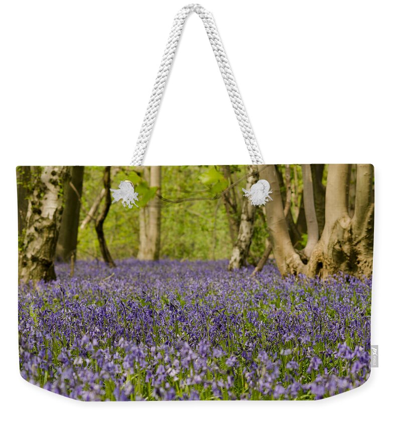Forest Weekender Tote Bag featuring the photograph Bluebell Woods by Spikey Mouse Photography