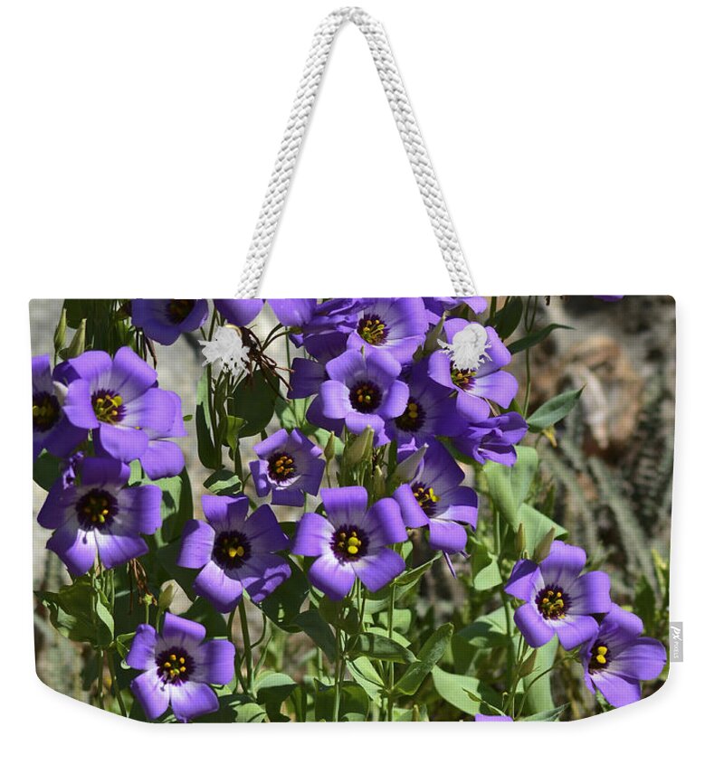 Bluebell Weekender Tote Bag featuring the photograph Bluebells by Allen Sheffield