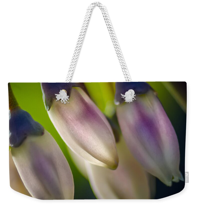 Blueberry Weekender Tote Bag featuring the photograph Blueberry Blossom by James Barber