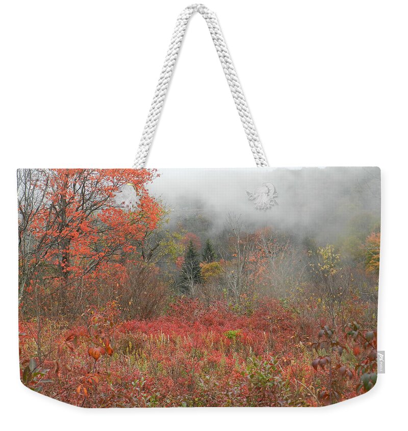 Blueberries Weekender Tote Bag featuring the photograph Blueberry Field by Deborah Ferree