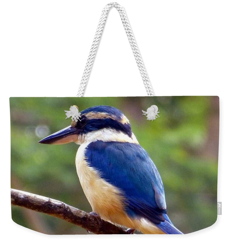 Kingfisher Weekender Tote Bag featuring the photograph Bluebird in Suva Fiji by Barbie Corbett-Newmin