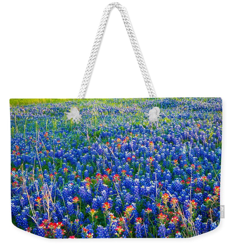 America Weekender Tote Bag featuring the photograph Bluebonnet Carpet by Inge Johnsson
