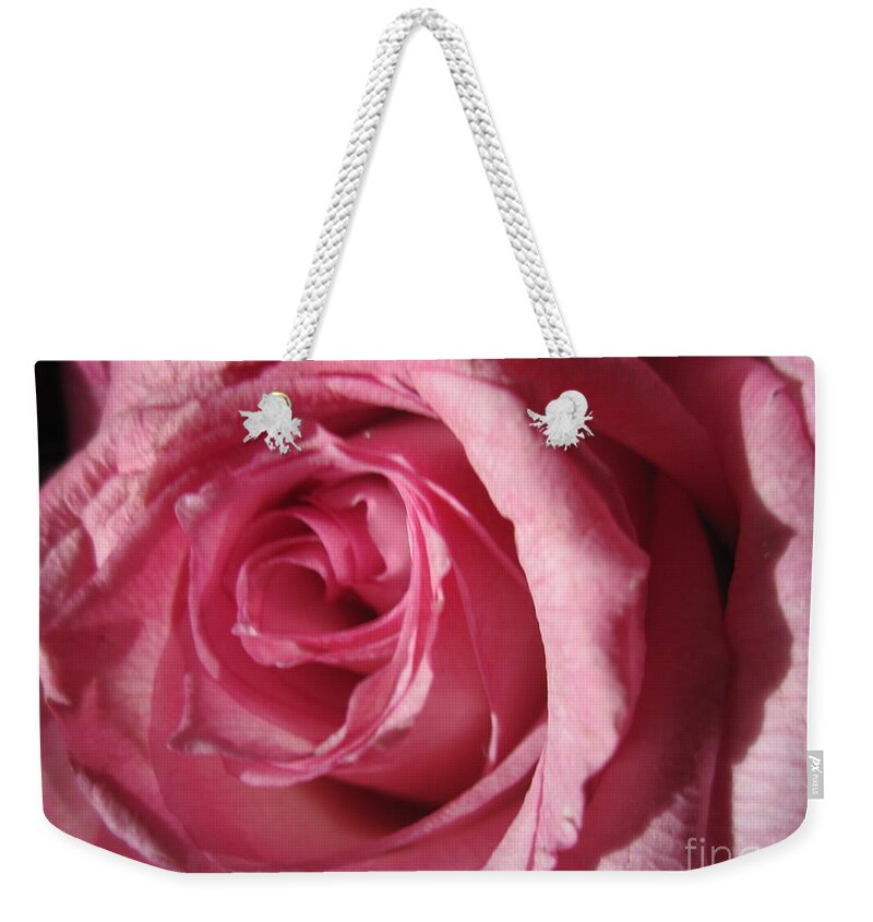 Floral Weekender Tote Bag featuring the photograph Blushing Pink Rose 2 by Tara Shalton