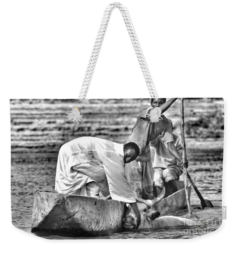 Africa Weekender Tote Bag featuring the photograph Boat and Cow by HELGE Art Gallery