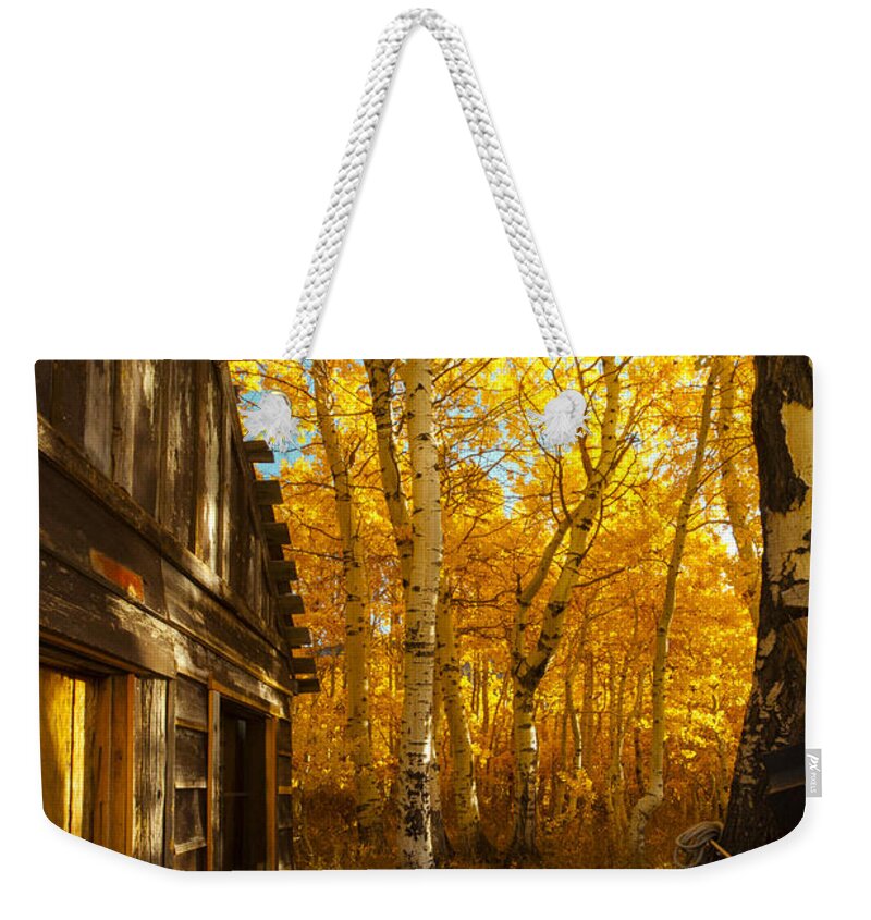 Boat House Among The Autumn Leaves Weekender Tote Bag featuring the photograph Boat House Among The Autumn Leaves by Jerry Cowart