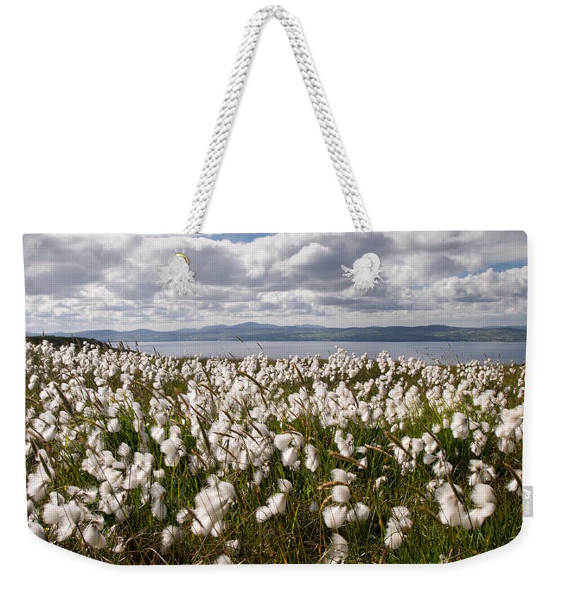 Binevenagh Weekender Tote Bag featuring the photograph Bog Cotton on Binevenagh by Nigel R Bell