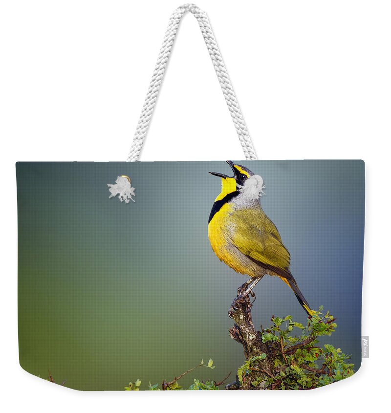 National Bird Weekender Tote Bags