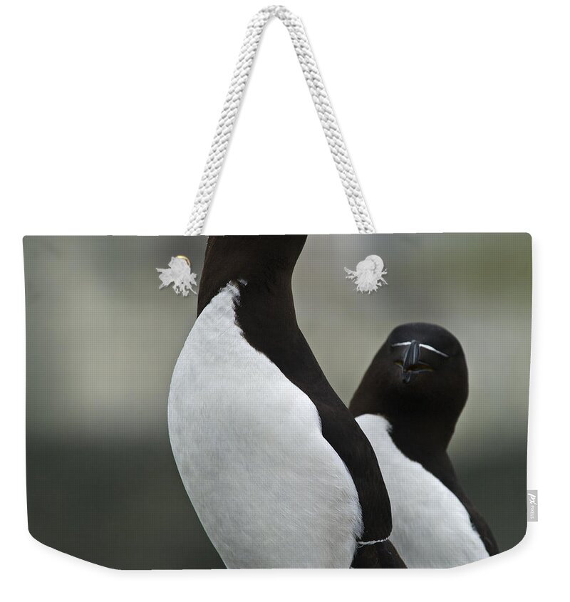 Festblues Weekender Tote Bag featuring the photograph Bonded for Life... by Nina Stavlund
