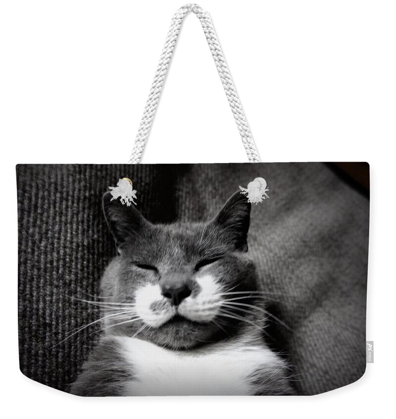 Cat Weekender Tote Bag featuring the photograph Boots by Laurie Perry