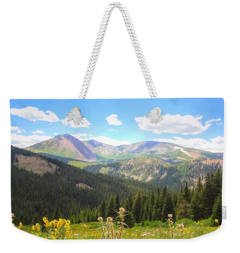 Landscape Weekender Tote Bag featuring the photograph Boreas Pass Summer by Lanita Williams