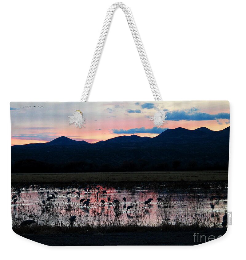 Bosque Weekender Tote Bag featuring the photograph Bosque by Steven Ralser