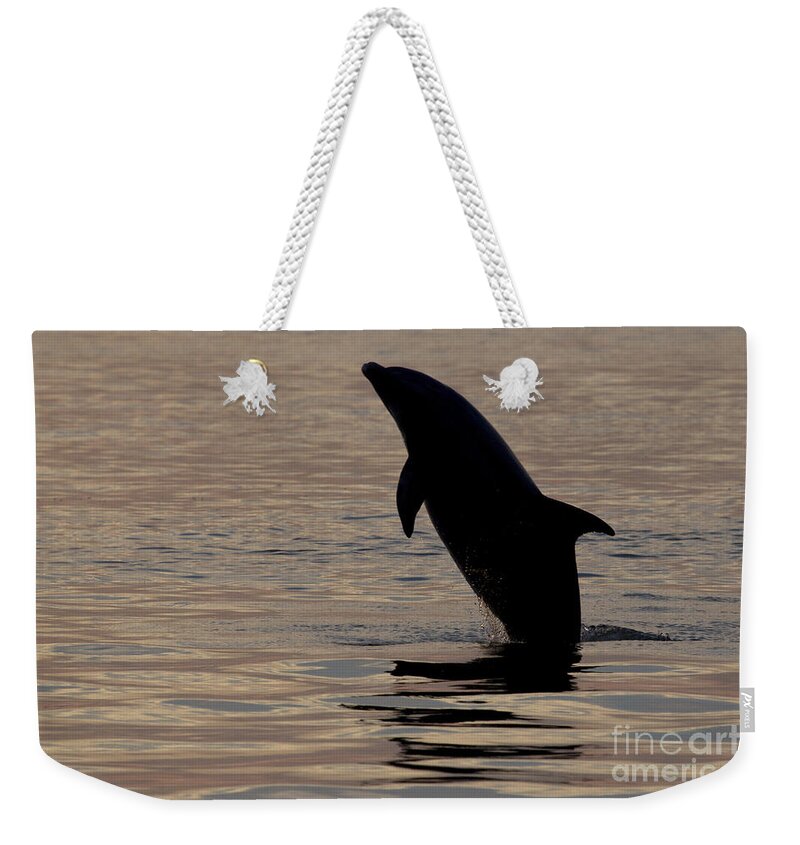 Bottlenose Dolphin Weekender Tote Bag featuring the photograph Bottlenose Dolphin by Meg Rousher