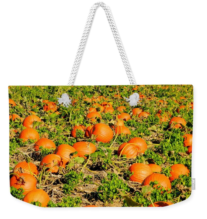 Brown's Farm Weekender Tote Bag featuring the photograph Bountiful Crop by Kathy Barney
