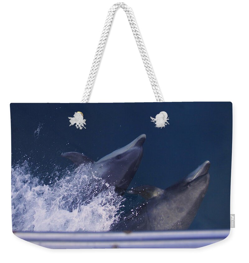 Bottlenose Dolphins Weekender Tote Bag featuring the photograph Bow Surfing by Shoal Hollingsworth