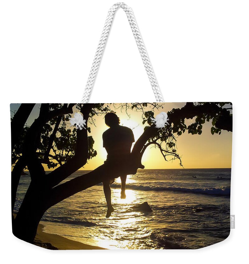 Boy-in-a-tree Weekender Tote Bag featuring the photograph Boy In A Tree by Jo Ann Tomaselli