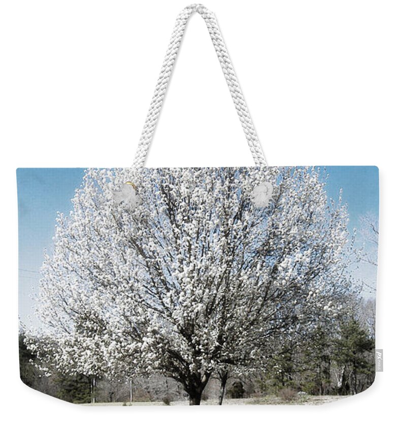 Bradford Pear Weekender Tote Bag featuring the photograph Bradford Pear by Lee Owenby