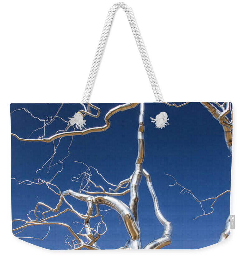 Steven Bateson Weekender Tote Bag featuring the photograph Branches of Silver by Steven Bateson