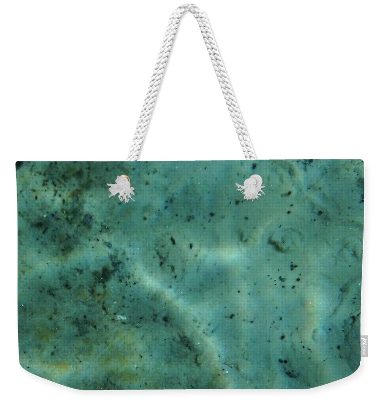 Rainbow Springs Weekender Tote Bag featuring the photograph Beautiful Bubbling Springs by D Hackett