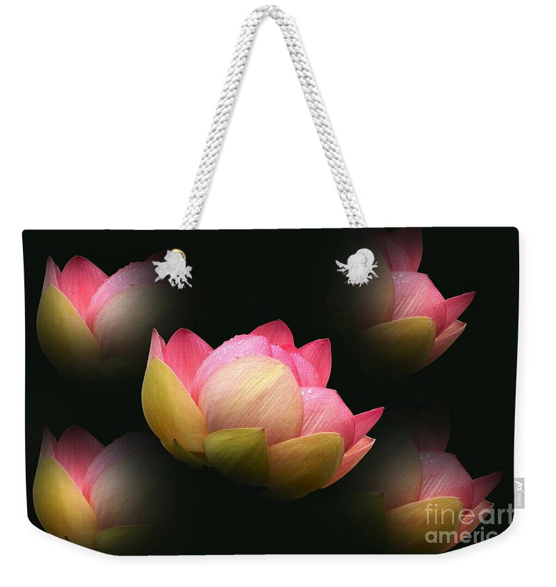 Lotus Abstract Weekender Tote Bag featuring the photograph Bright Lotus Echoes by Byron Varvarigos