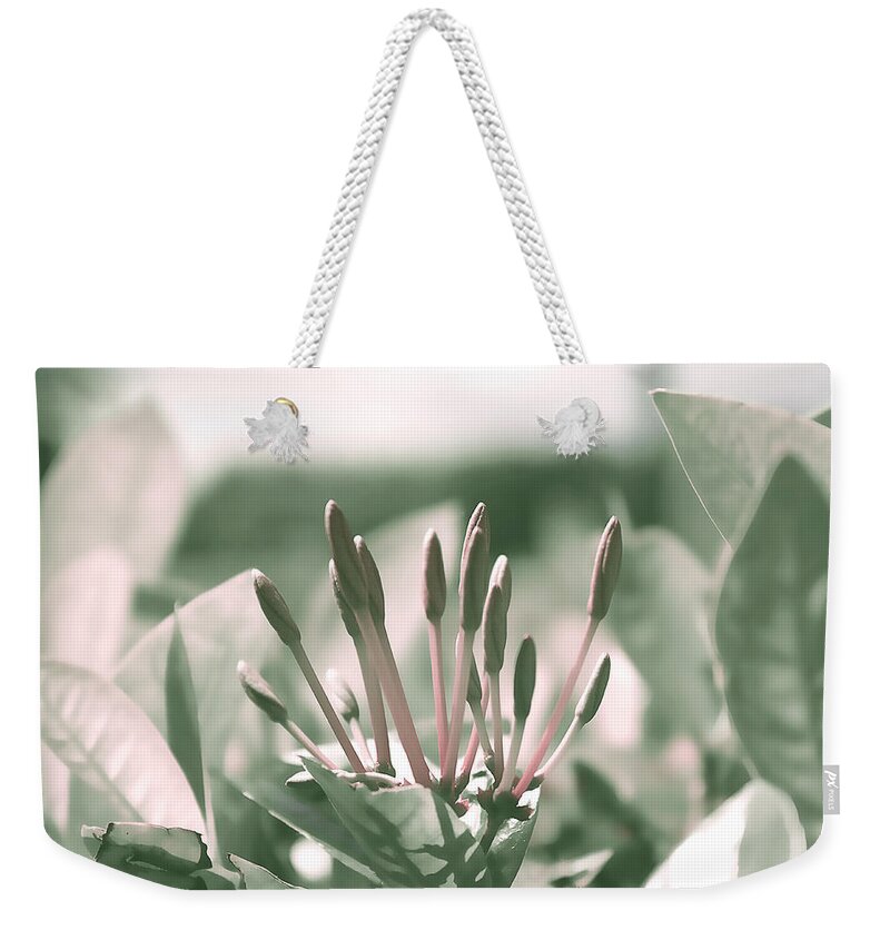 Bright Weekender Tote Bag featuring the photograph Bright moment by Milena Ilieva