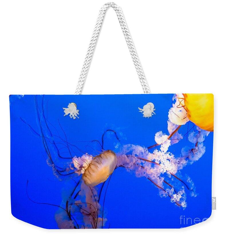 Deep Weekender Tote Bag featuring the photograph Brilliant Beauties by Cheryl Baxter