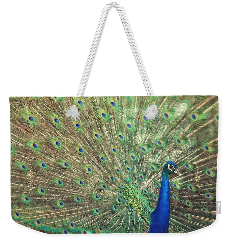 Green Weekender Tote Bag featuring the photograph Brilliant Beautiful Backdrop by Carrie Ann Grippo-Pike