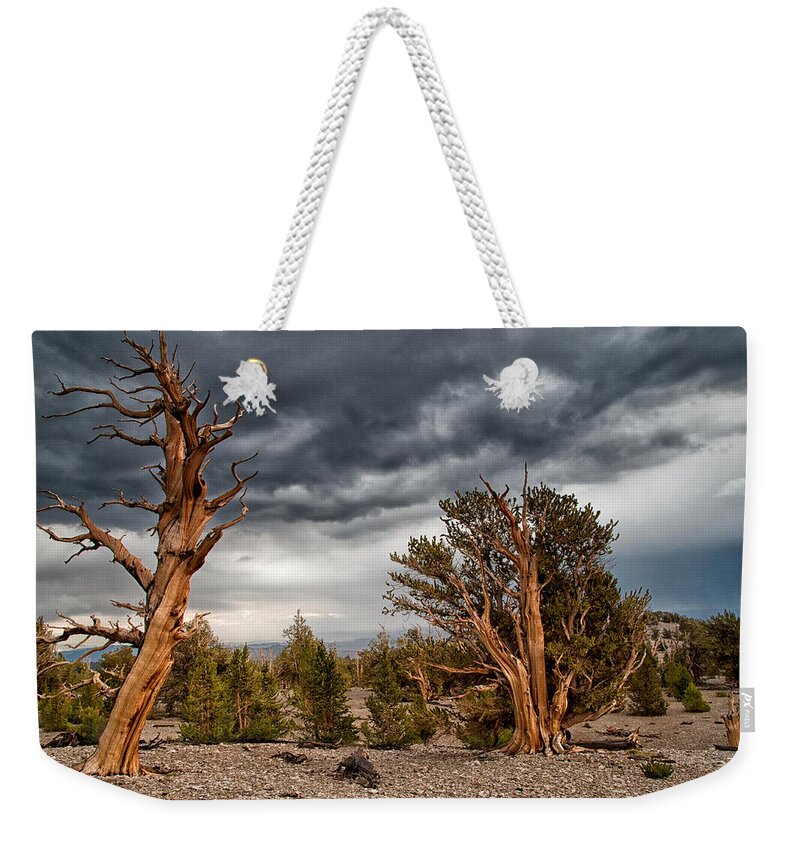 Tree Sky Cloudy Storm Summer Scenic Landscape Nature eastern Sierra Mountains Ancient Forest California Weekender Tote Bag featuring the photograph Bristlecones by Cat Connor