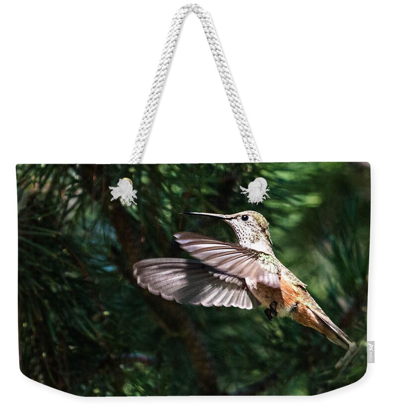 Broad-tailed Hummingbird Weekender Tote Bag featuring the photograph Broad-tailed Hummingbird by Dawn Key