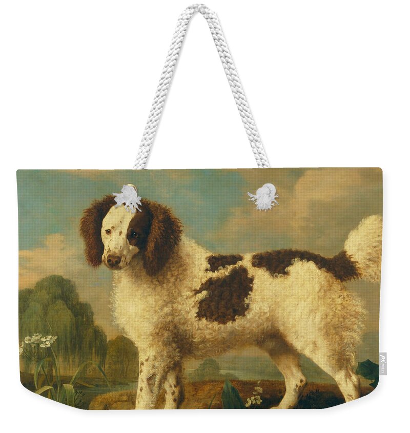 George Stubbs Weekender Tote Bag featuring the painting Brown and White Norfolk or Water Spaniel by George Stubbs