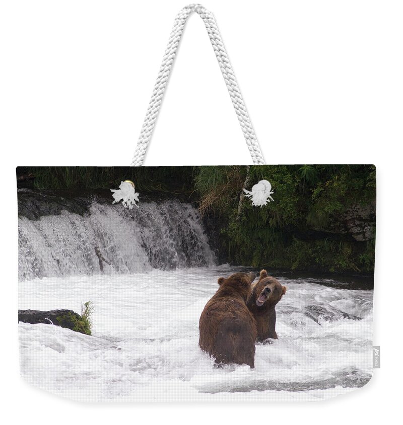 Toughness Weekender Tote Bag featuring the photograph Brown Bears Ursus Arctos Sparing For by Richard Maschmeyer / Design Pics