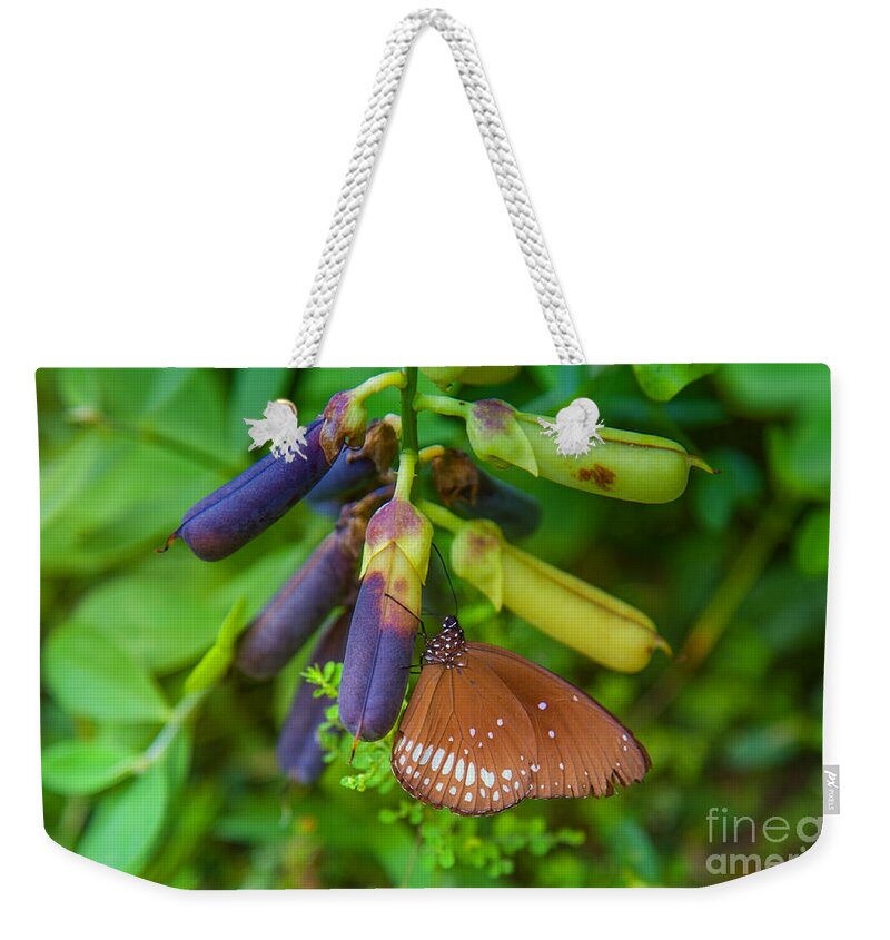 Butterfly Weekender Tote Bag featuring the photograph Brown butterfly in the green jungle by Gina Koch