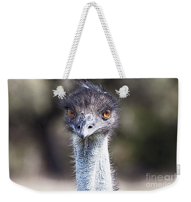  Emu Bird Weekender Tote Bag featuring the photograph Brown-Eyed Girl V2 by Douglas Barnard