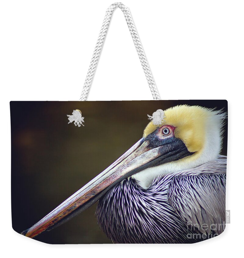 Brown Pelican Weekender Tote Bag featuring the photograph Brown Pelican by Joan McCool